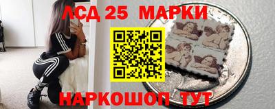 гидропоника Кингисепп