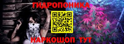гидропоника Кингисепп