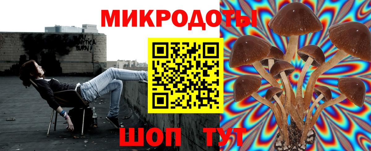 Псилоцибиновые грибы мицелий Красногорск