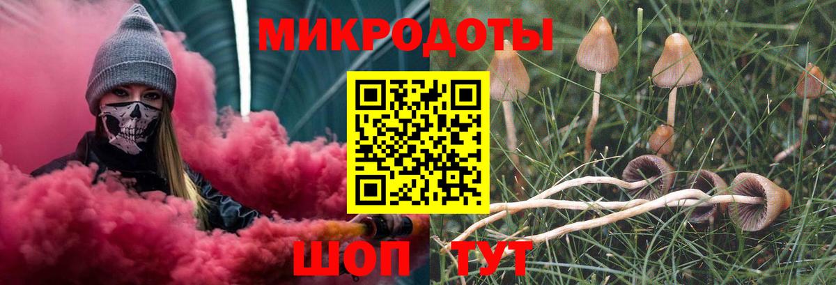 Псилоцибиновые грибы GOLDEN TEACHER  Вход с VPN  Красногорск  Псилоцибиновые грибы Cubensis 