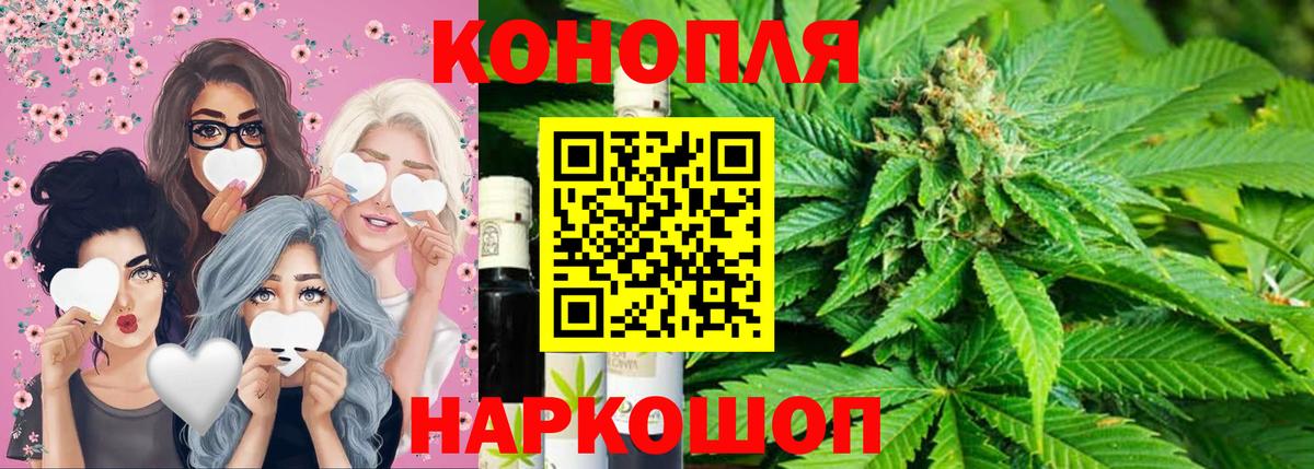 Бошки марихуана конопля  Бошки Шишки OG Kush  Конопля семена  Вход с VPN  Красногорск  Каннабис ГИДРОПОН 